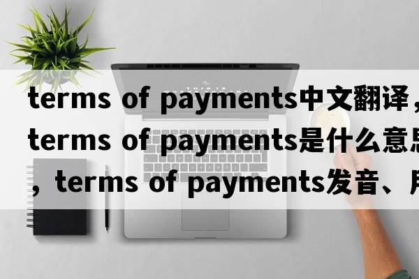 terms of payments中文翻譯，terms of payments是什么意思，terms of payments發(fā)音、用法及例句