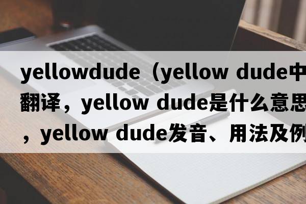 yellowdude（yellow dude中文翻譯，yellow dude是什么意思，yellow dude發(fā)音、用法及例句）