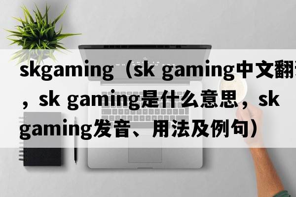 skgaming（sk gaming中文翻譯，sk gaming是什么意思，sk gaming發(fā)音、用法及例句）