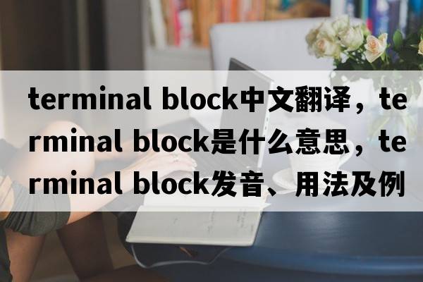 terminal block中文翻譯，terminal block是什么意思，terminal block發(fā)音、用法及例句