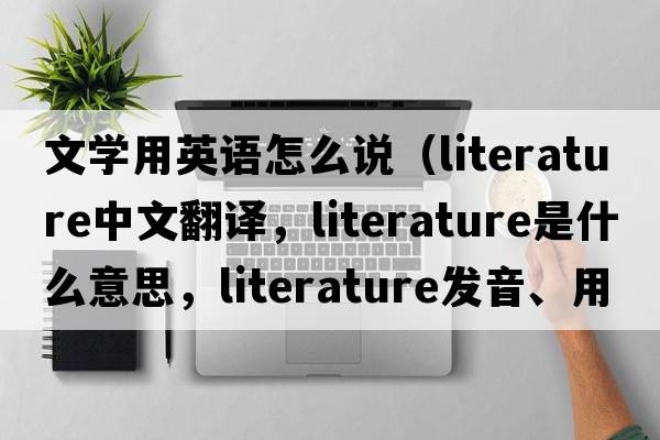 文學(xué)用英語(yǔ)怎么說(shuō)（literature中文翻譯，literature是什么意思，literature發(fā)音、用法及例句）