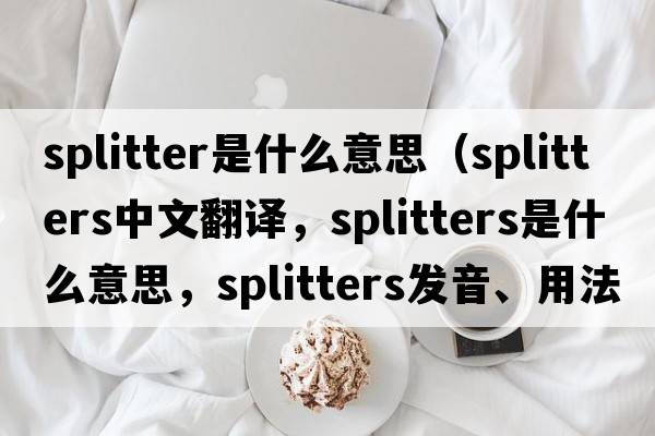 splitter是什么意思（splitters中文翻譯，splitters是什么意思，splitters發(fā)音、用法及例句）