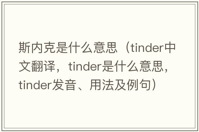 斯內克是什么意思（tinder中文翻譯，tinder是什么意思，tinder發(fā)音、用法及例句）