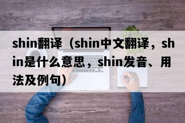 shin翻譯（shin中文翻譯，shin是什么意思，shin發(fā)音、用法及例句）