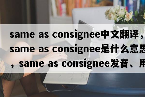 same as consignee中文翻譯，same as consignee是什么意思，same as consignee發(fā)音、用法及例句