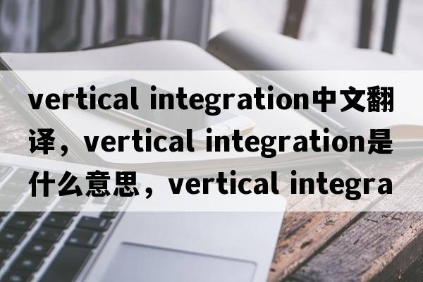 vertical integration中文翻譯，vertical integration是什么意思，vertical integration發(fā)音、用法及例句