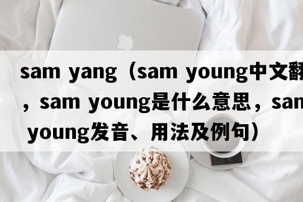 sam yang（sam young中文翻譯，sam young是什么意思，sam young發(fā)音、用法及例句）