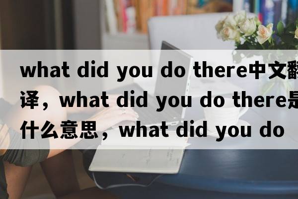 what did you do there中文翻譯，what did you do there是什么意思，what did you do there發(fā)音、用法及例句