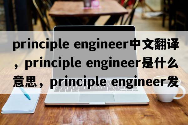 principle engineer中文翻譯，principle engineer是什么意思，principle engineer發(fā)音、用法及例句