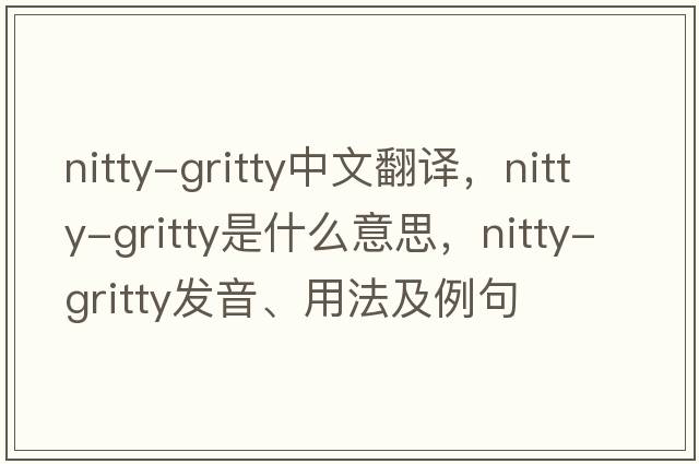 nitty-gritty中文翻譯，nitty-gritty是什么意思，nitty-gritty發(fā)音、用法及例句