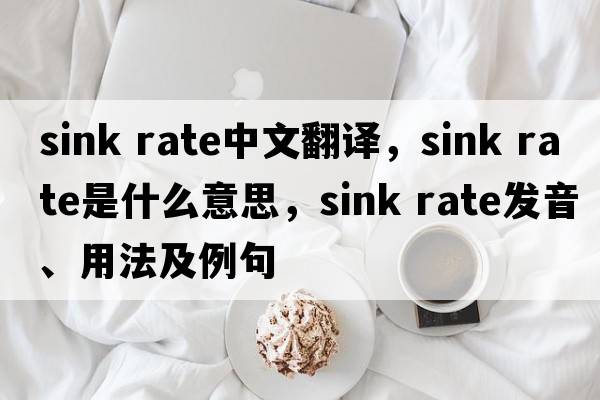 sink rate中文翻譯，sink rate是什么意思，sink rate發(fā)音、用法及例句