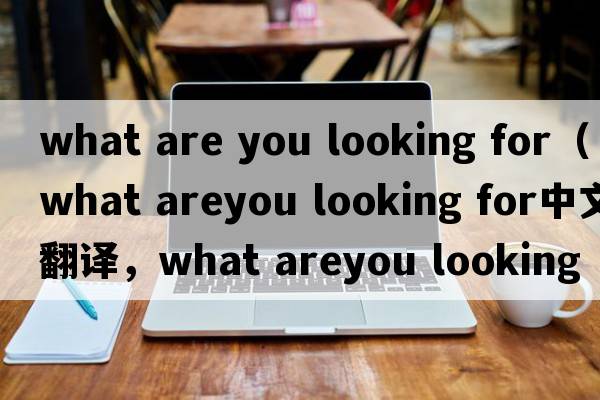 what are you looking for（what areyou looking for中文翻譯，what areyou looking for是什么意思，what areyou lookin