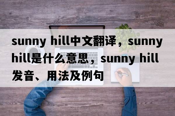 sunny hill中文翻譯，sunny hill是什么意思，sunny hill發(fā)音、用法及例句