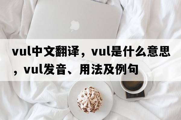 vul中文翻譯，vul是什么意思，vul發(fā)音、用法及例句