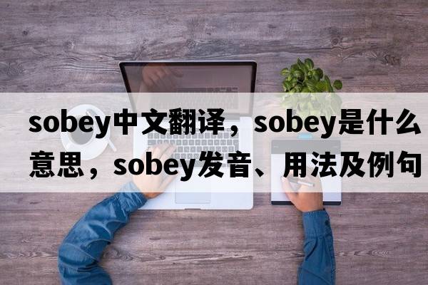 sobey中文翻譯，sobey是什么意思，sobey發(fā)音、用法及例句