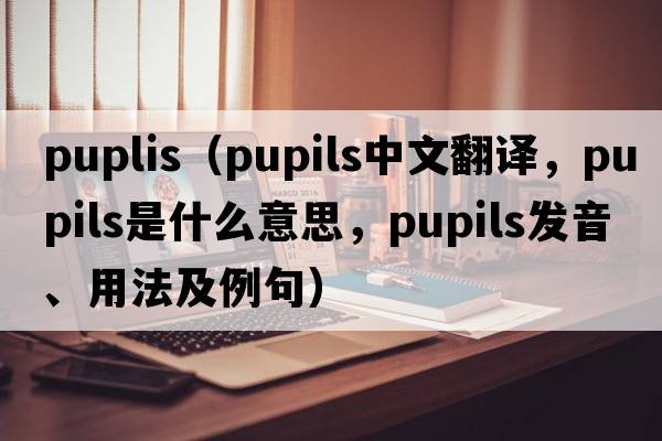 puplis（pupils中文翻譯，pupils是什么意思，pupils發(fā)音、用法及例句）