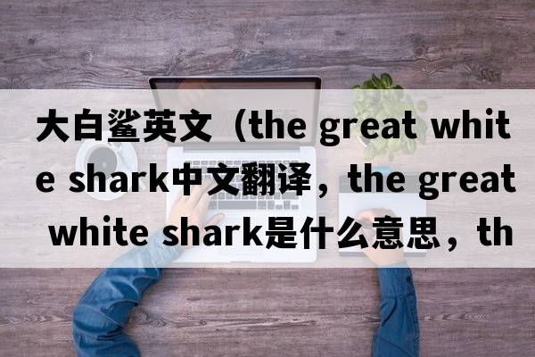 大白鯊英文（the great white shark中文翻譯，the great white shark是什么意思，the great white shark發(fā)音、用法及例句）