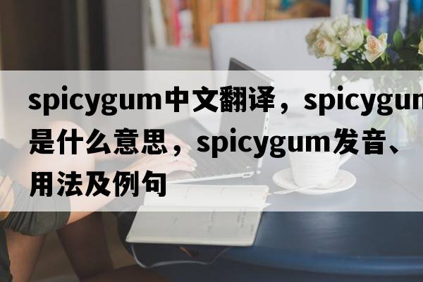 spicygum中文翻譯，spicygum是什么意思，spicygum發(fā)音、用法及例句