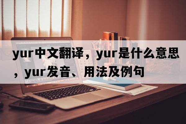 Yur中文翻譯，Yur是什么意思，Yur發(fā)音、用法及例句