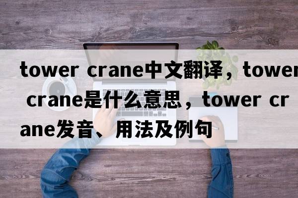 tower crane中文翻譯，tower crane是什么意思，tower crane發(fā)音、用法及例句