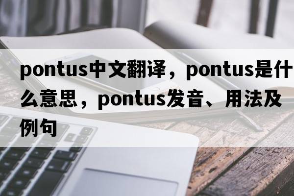 Pontus中文翻譯，Pontus是什么意思，Pontus發(fā)音、用法及例句