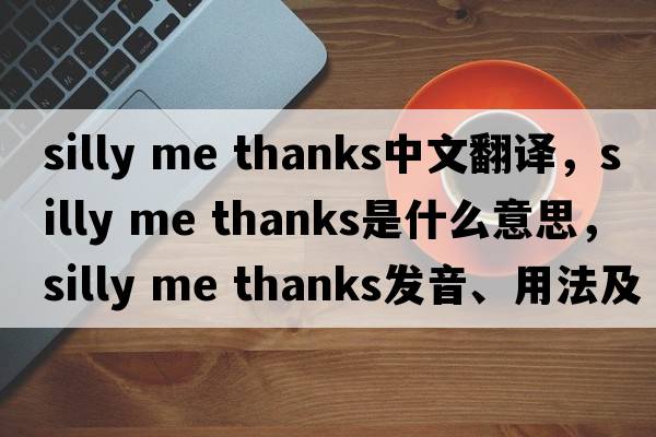 silly me thanks中文翻譯，silly me thanks是什么意思，silly me thanks發(fā)音、用法及例句