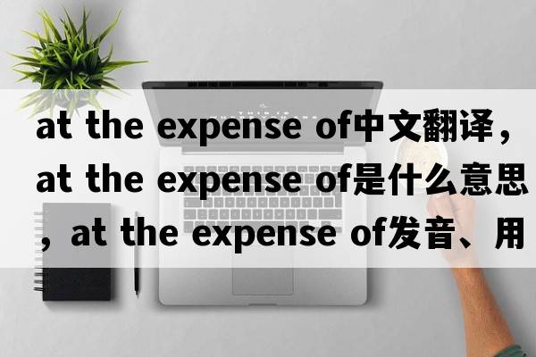at the expense of中文翻譯，at the expense of是什么意思，at the expense of發(fā)音、用法及例句