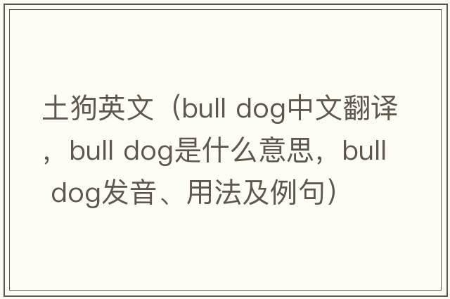 土狗英文（bull dog中文翻譯，bull dog是什么意思，bull dog發(fā)音、用法及例句）
