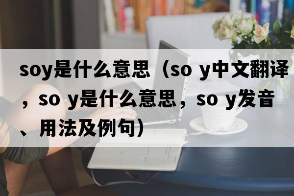 soy是什么意思（so y中文翻譯，so y是什么意思，so y發(fā)音、用法及例句）