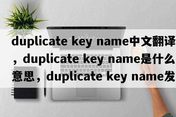 duplicate key name中文翻譯，duplicate key name是什么意思，duplicate key name發(fā)音、用法及例句