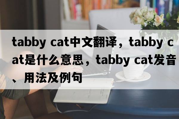 tabby cat中文翻譯，tabby cat是什么意思，tabby cat發(fā)音、用法及例句