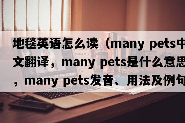 地毯英語(yǔ)怎么讀（many pets中文翻譯，many pets是什么意思，many pets發(fā)音、用法及例句）