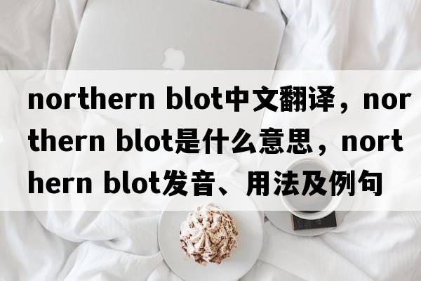 northern blot中文翻譯，northern blot是什么意思，northern blot發(fā)音、用法及例句