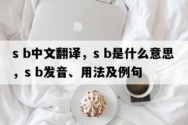 s b中文翻譯，s b是什么意思，s b發(fā)音、用法及例句