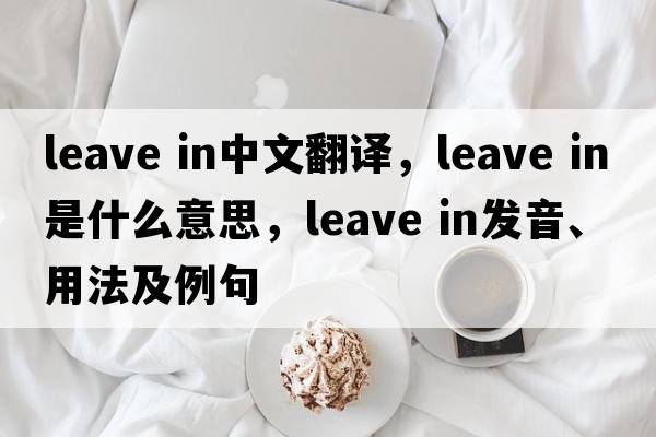 leave in中文翻譯，leave in是什么意思，leave in發(fā)音、用法及例句