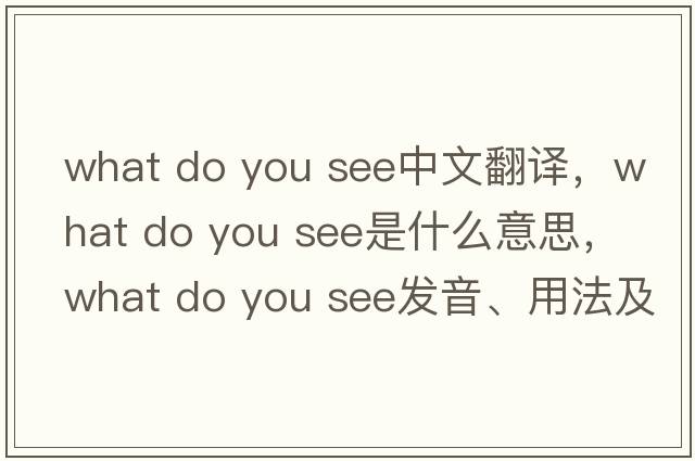 what do you see中文翻譯，what do you see是什么意思，what do you see發(fā)音、用法及例句