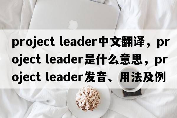 project leader中文翻譯，project leader是什么意思，project leader發(fā)音、用法及例句