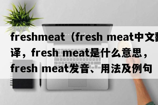 freshmeat（fresh meat中文翻譯，fresh meat是什么意思，fresh meat發(fā)音、用法及例句）