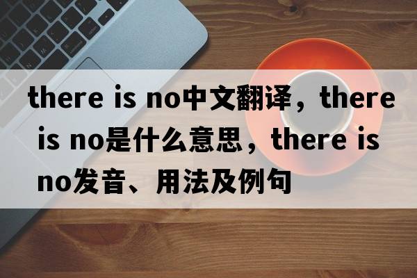 There is no中文翻譯，There is no是什么意思，There is no發(fā)音、用法及例句