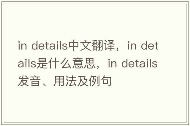 in details中文翻譯，in details是什么意思，in details發(fā)音、用法及例句