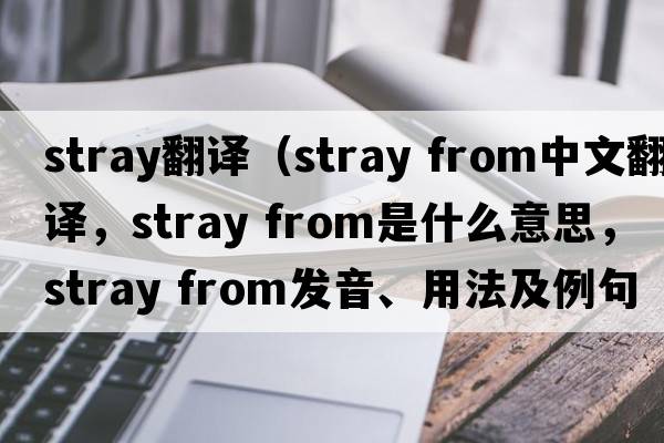 stray翻譯（stray from中文翻譯，stray from是什么意思，stray from發(fā)音、用法及例句）