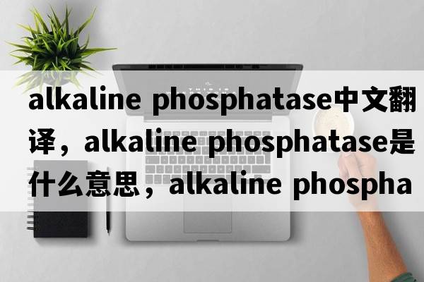alkaline phosphatase中文翻譯，alkaline phosphatase是什么意思，alkaline phosphatase發(fā)音、用法及例句