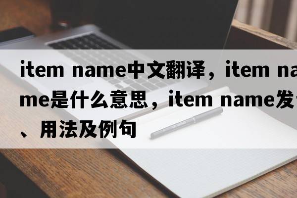 item name中文翻譯，item name是什么意思，item name發(fā)音、用法及例句