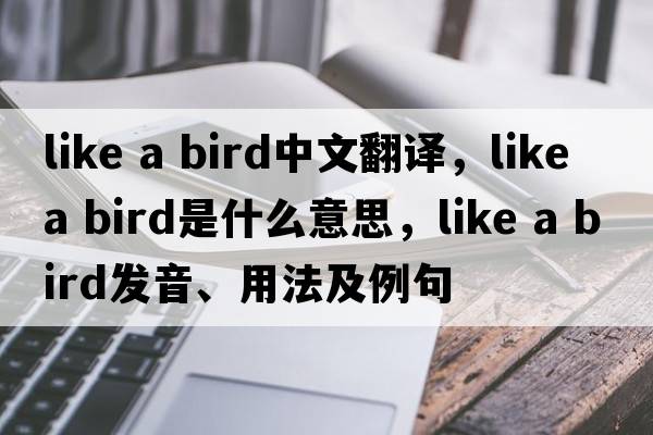 like a bird中文翻譯，like a bird是什么意思，like a bird發(fā)音、用法及例句