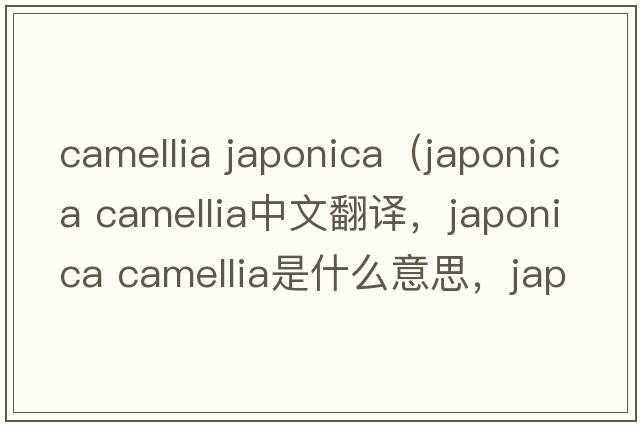 camellia japonica（japonica camellia中文翻譯，japonica camellia是什么意思，japonica camellia發(fā)音、用法及例句）