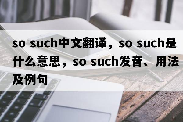 so such中文翻譯，so such是什么意思，so such發(fā)音、用法及例句