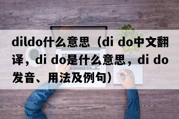 dildo什么意思（DI DO中文翻譯，DI DO是什么意思，DI DO發(fā)音、用法及例句）