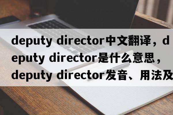 deputy director中文翻譯，deputy director是什么意思，deputy director發(fā)音、用法及例句