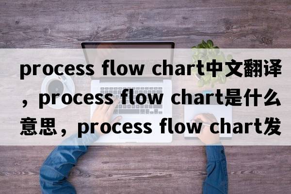 process flow chart中文翻譯，process flow chart是什么意思，process flow chart發(fā)音、用法及例句
