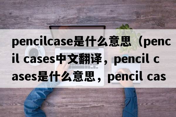 pencilcase是什么意思（pencil cases中文翻譯，pencil cases是什么意思，pencil cases發(fā)音、用法及例句）